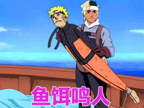 鸣人爆料山鸡鱼视频,山鸡鱼视频背后的惊人真相 第3张 鸣人爆料山鸡鱼视频,山鸡鱼视频背后的惊人真相 第3张