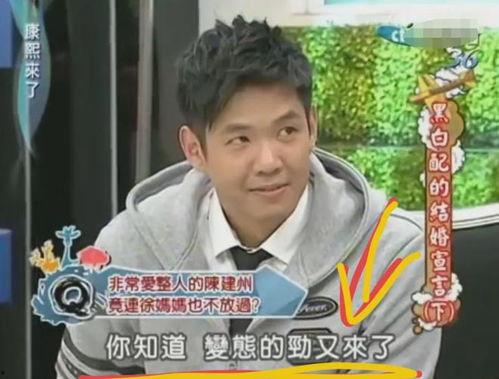 陈建州当众爆料视频,揭秘娱乐圈背后真相  第3张