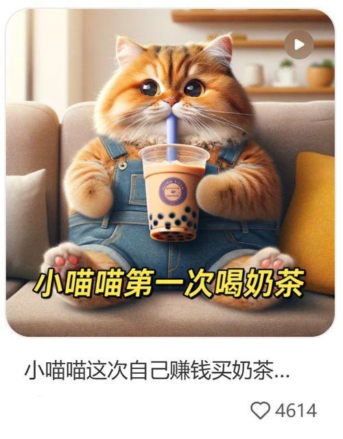 热点爆料猫猫视频下载,热点爆料背后的下载攻略  第2张