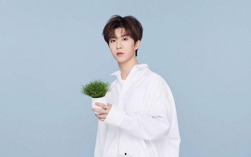 范丞丞直播爆料视频大全,独家爆料视频大全精彩瞬间  第2张